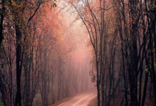 足球——欧罗巴联赛：拉齐奥晋级八.