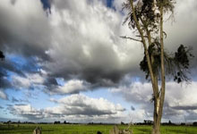 竞技宝官网：林加德谈职业生涯：100%没有失败的感觉，弗爵爷一直很信任我.