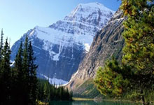 世界足坛告别“足球绅士”，贝克汉姆：是他让我有机会为曼联效力环球时报.