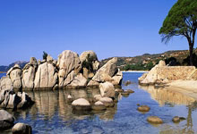 竞技宝官网：德丙“黑马”淘汰卫冕冠军闯入德国杯决赛.